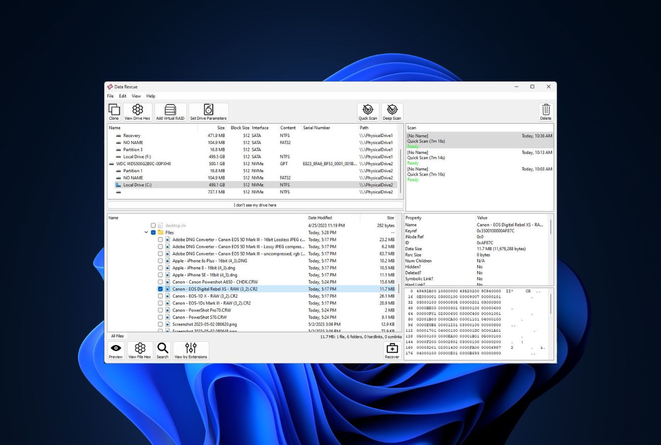 data rescue review