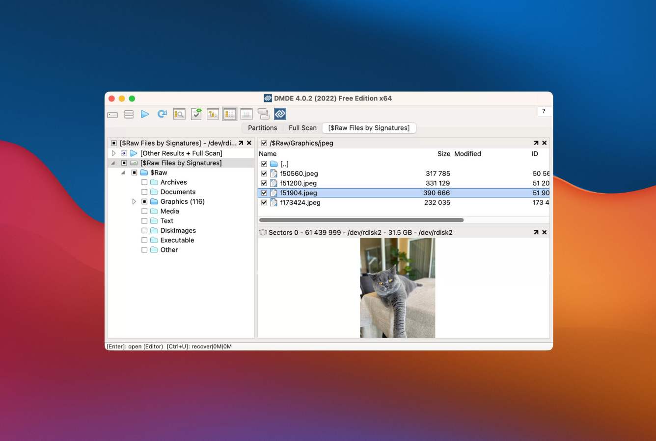DMDE Mac review